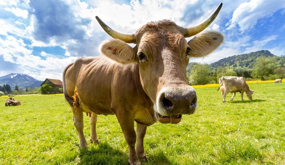 11 mistere la care cercetătorii nu reuşesc să ofere explicaţii