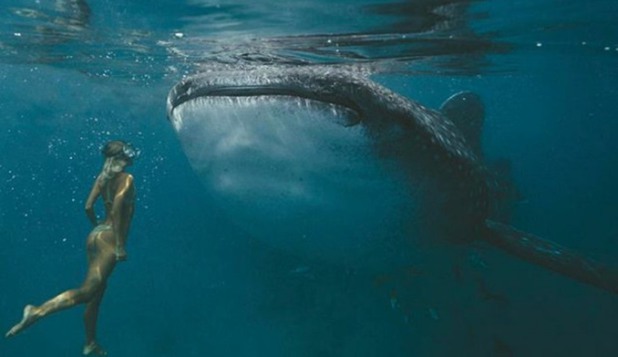 Un cuplu a câştigat 9000$ pentru o singură poză