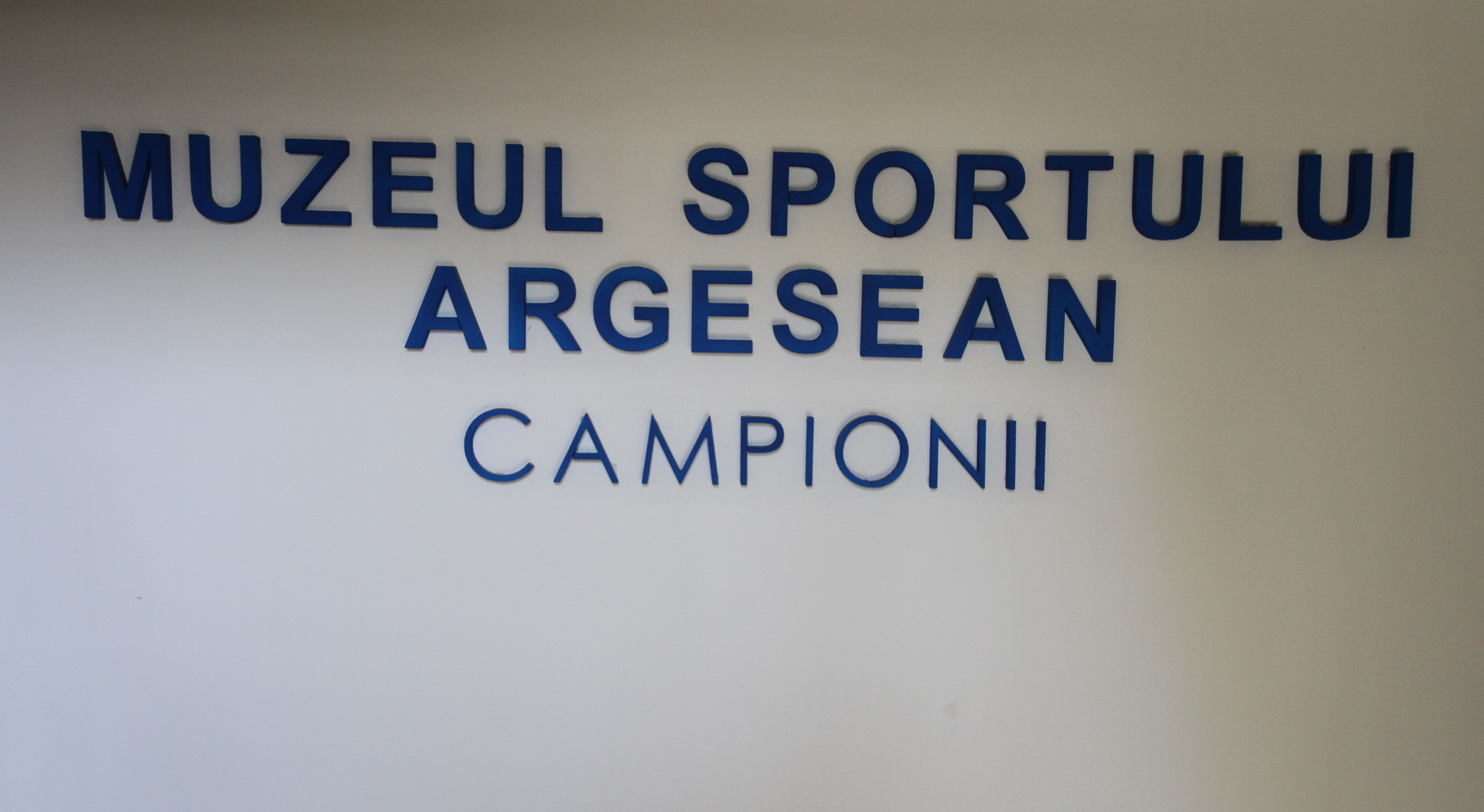 La întâlnire cu…automobilul