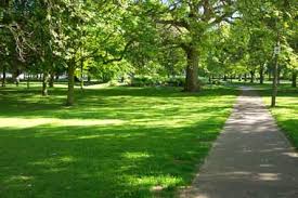 Primăria Craiova continuă reabilitarea spațiilor verzi