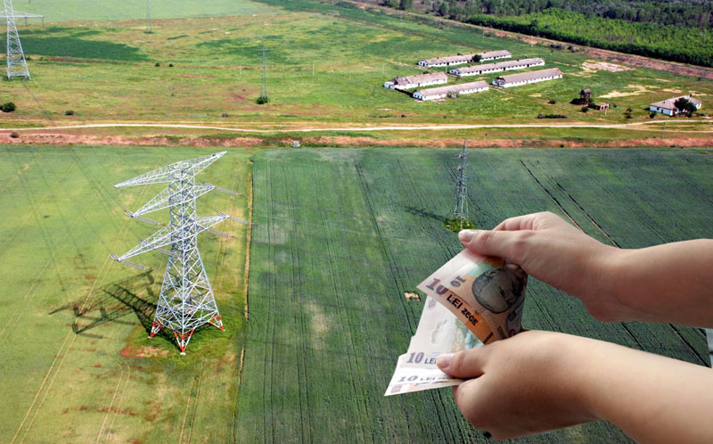 APIA începe să plătească subvenţiile din bugetul naţional, aferente anului 2016