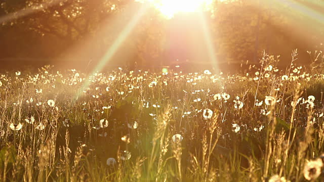 Prognoza meteo pentru 24 mai 2017