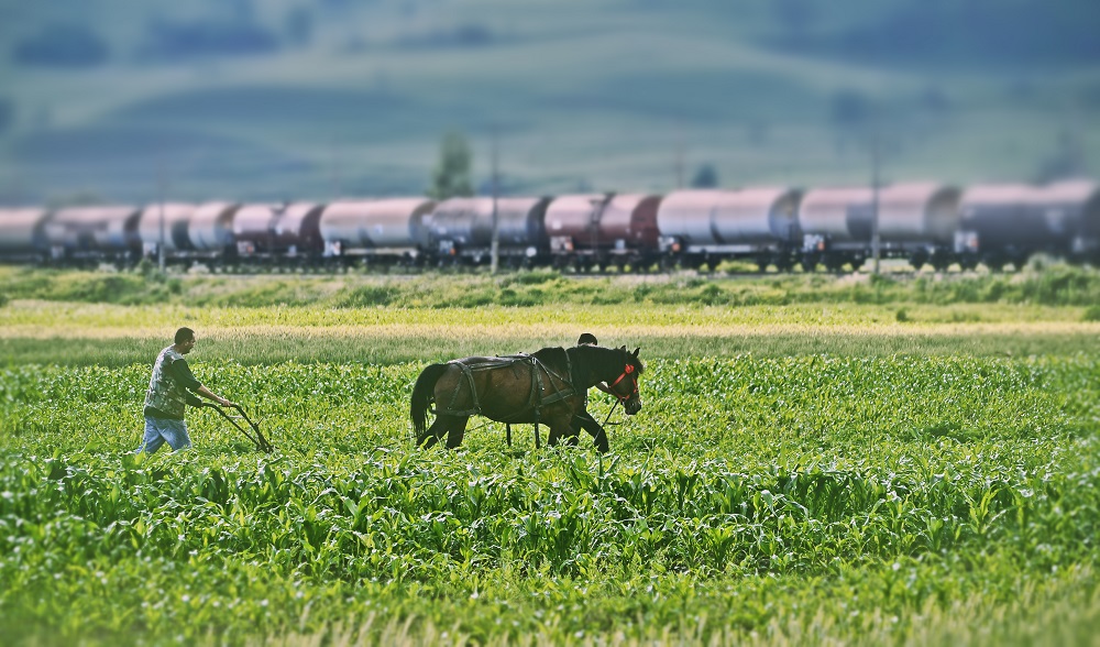 Modificări fără penalități la cererile unice de plată