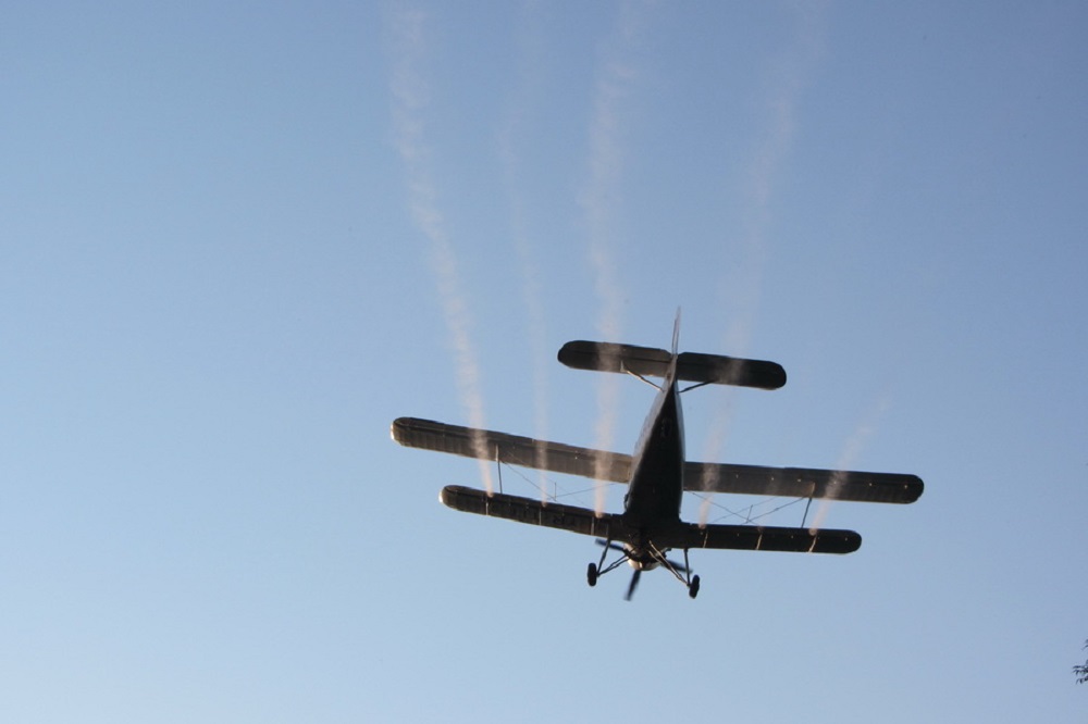 Începe dezinsecţia în Râmnicu Vâlcea!