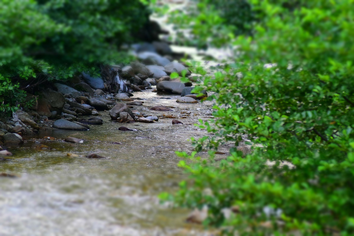 Azi despre ieri – 26 mai 2017