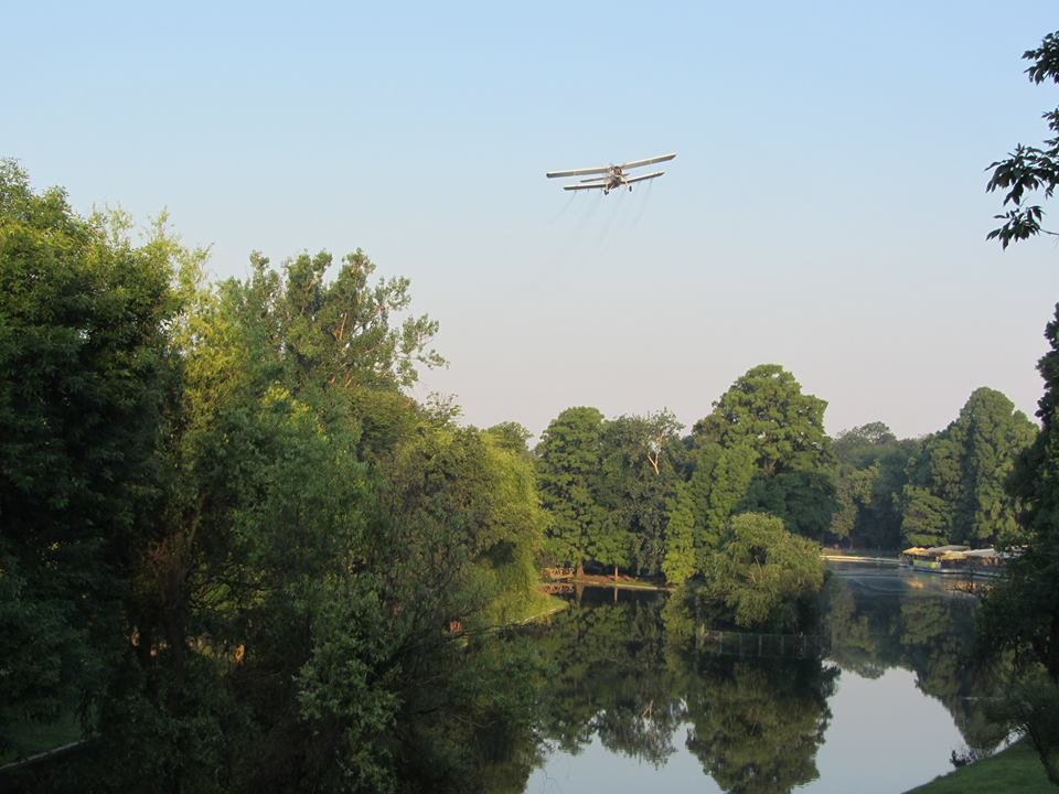 Craiova. Prima etapă a dezinsecției pe domeniul public