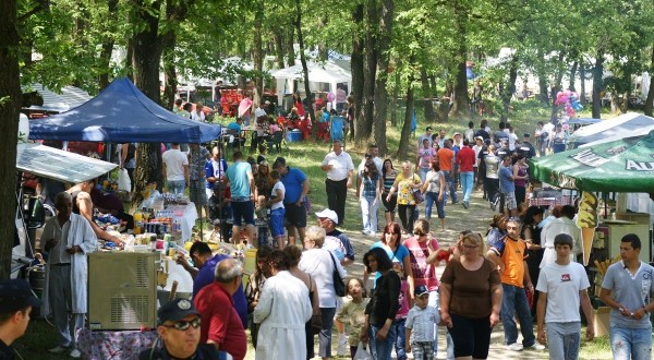 Sărbătoarea Bujorului