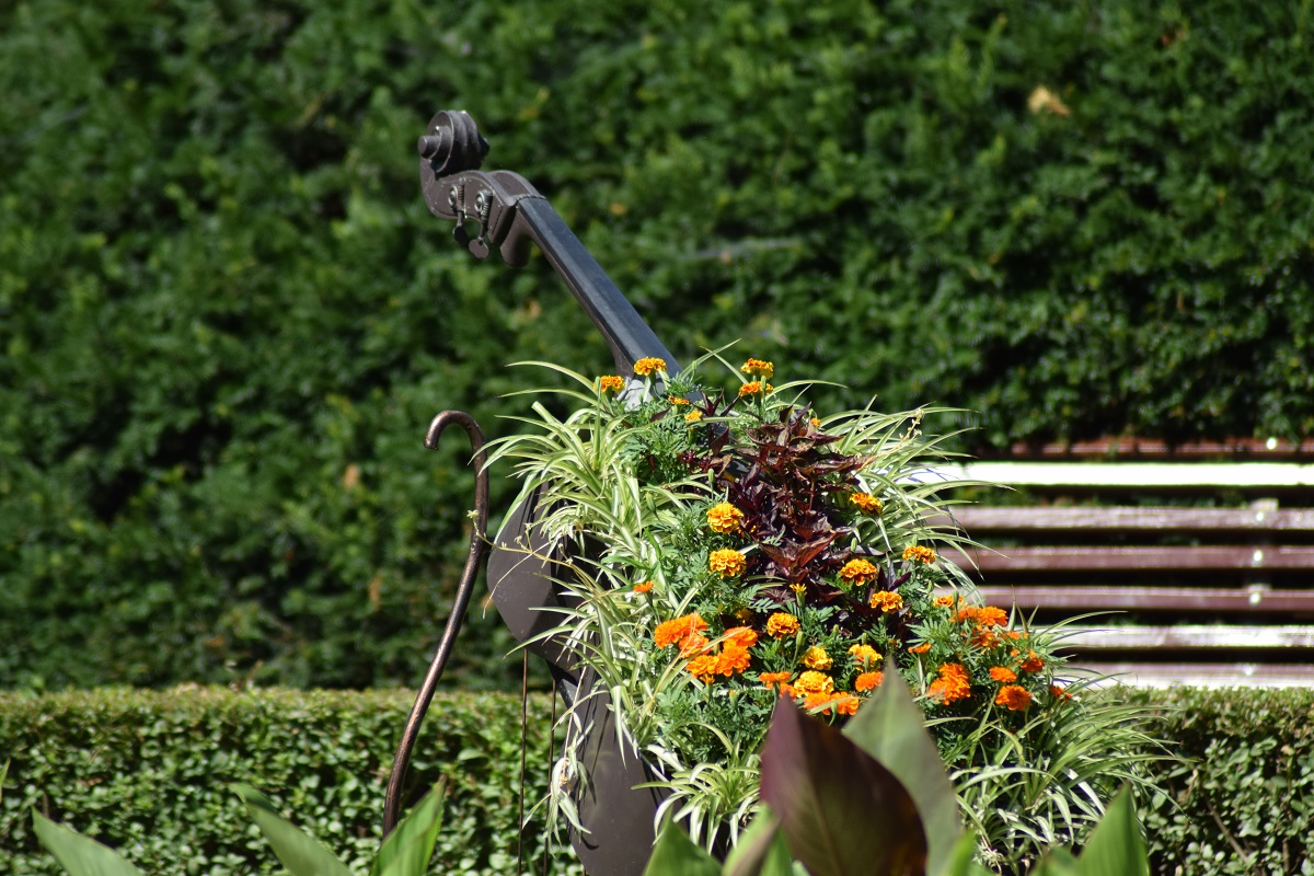 Azi despre ieri – 16 mai 2017