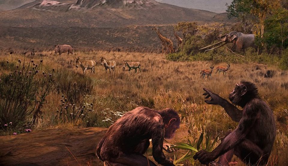 O fosilă veche de 7,2 milioane de ani rescrie istoria originii omului şi contrazice teoria lui Darwin