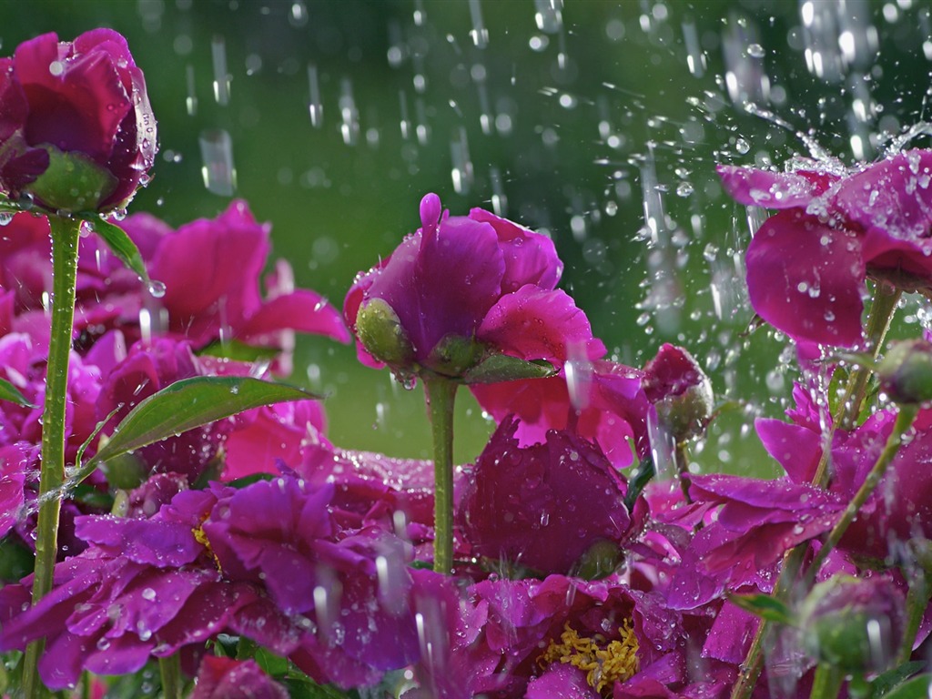 Prognoza meteo 17/18 mai (audio)