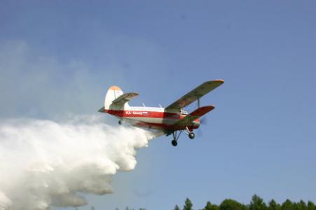 Dezinsecție la Râmnicu Vâlcea