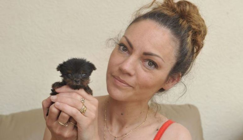 Cel mai mic câine din Marea Britanie, cântăreşte doar un sfert de kilogram