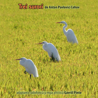 Premieră la Teatrul Naţional Radiofonic: Trei surori, de A.P.Cehov