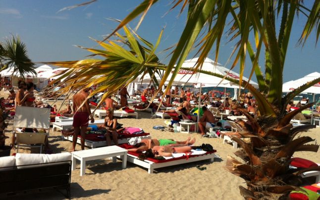 Cod portocaliu în Spania