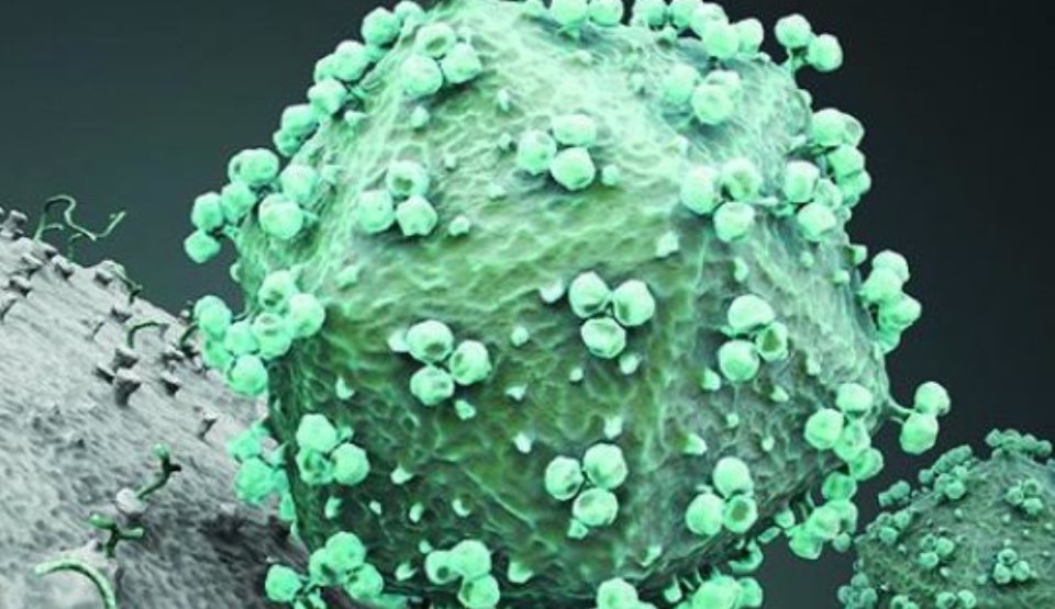 A fost testat un nou mod de vaccinare preventivă împotriva SIDA care poate duce la eliminarea bolii