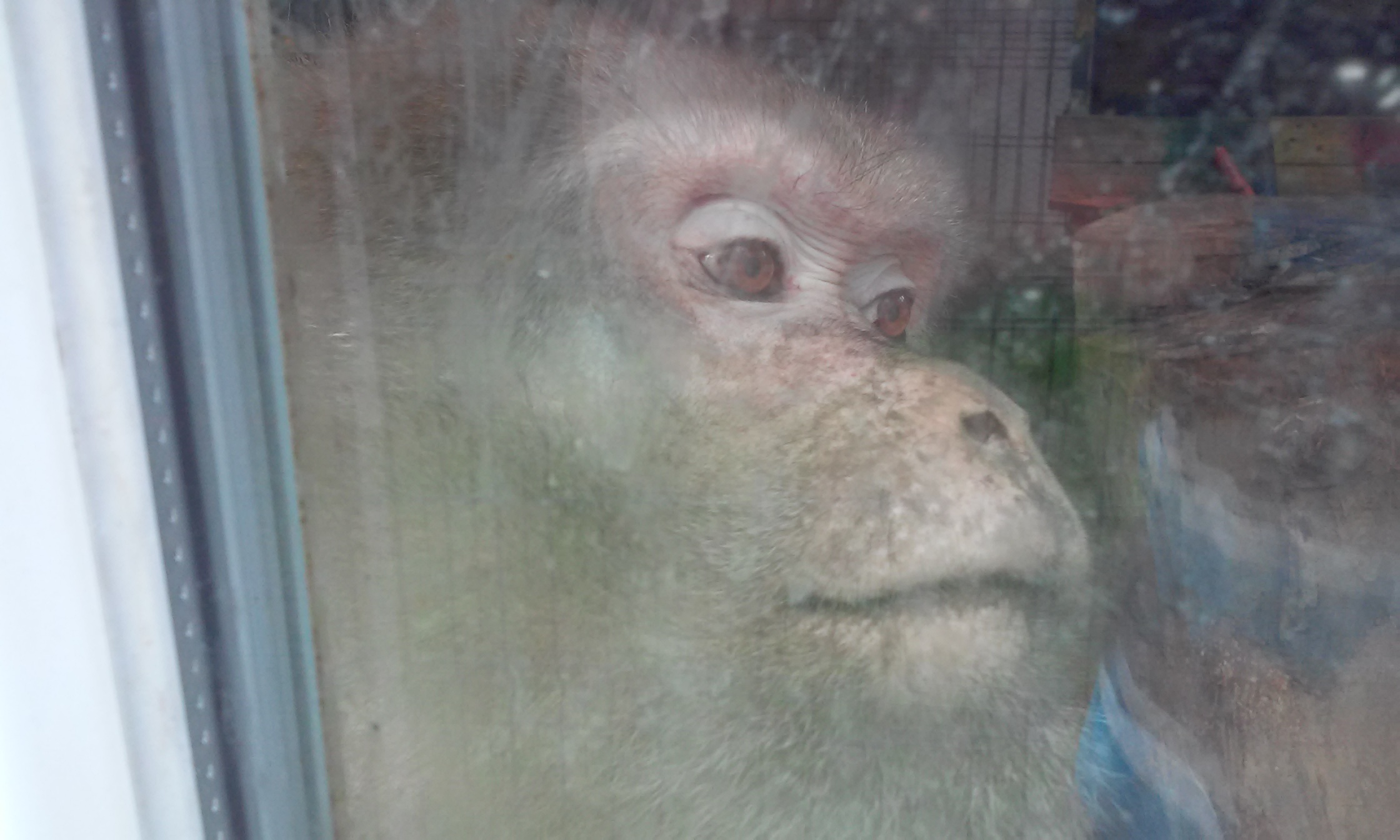 Azi despre ieri – 2 iulie 2017