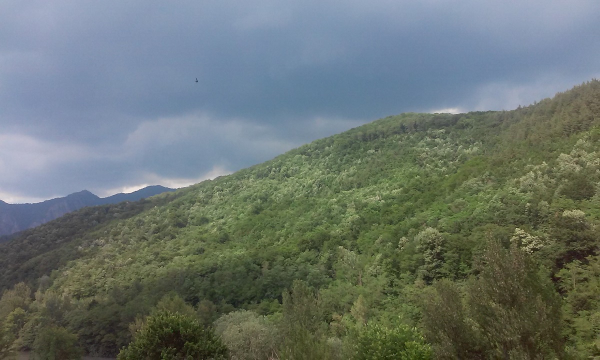 Azi despre ieri – 3 august 2017