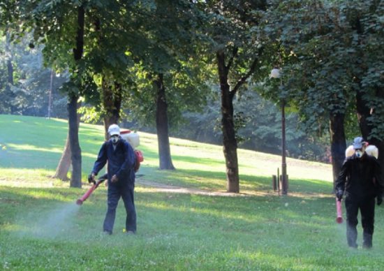 Campanie de dezinsecție și deratizare la Mioveni