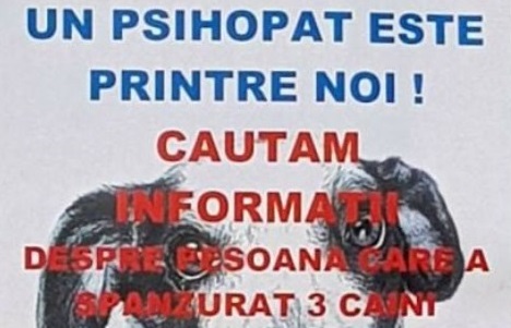 Câini spânzurați la Ocnele mari!