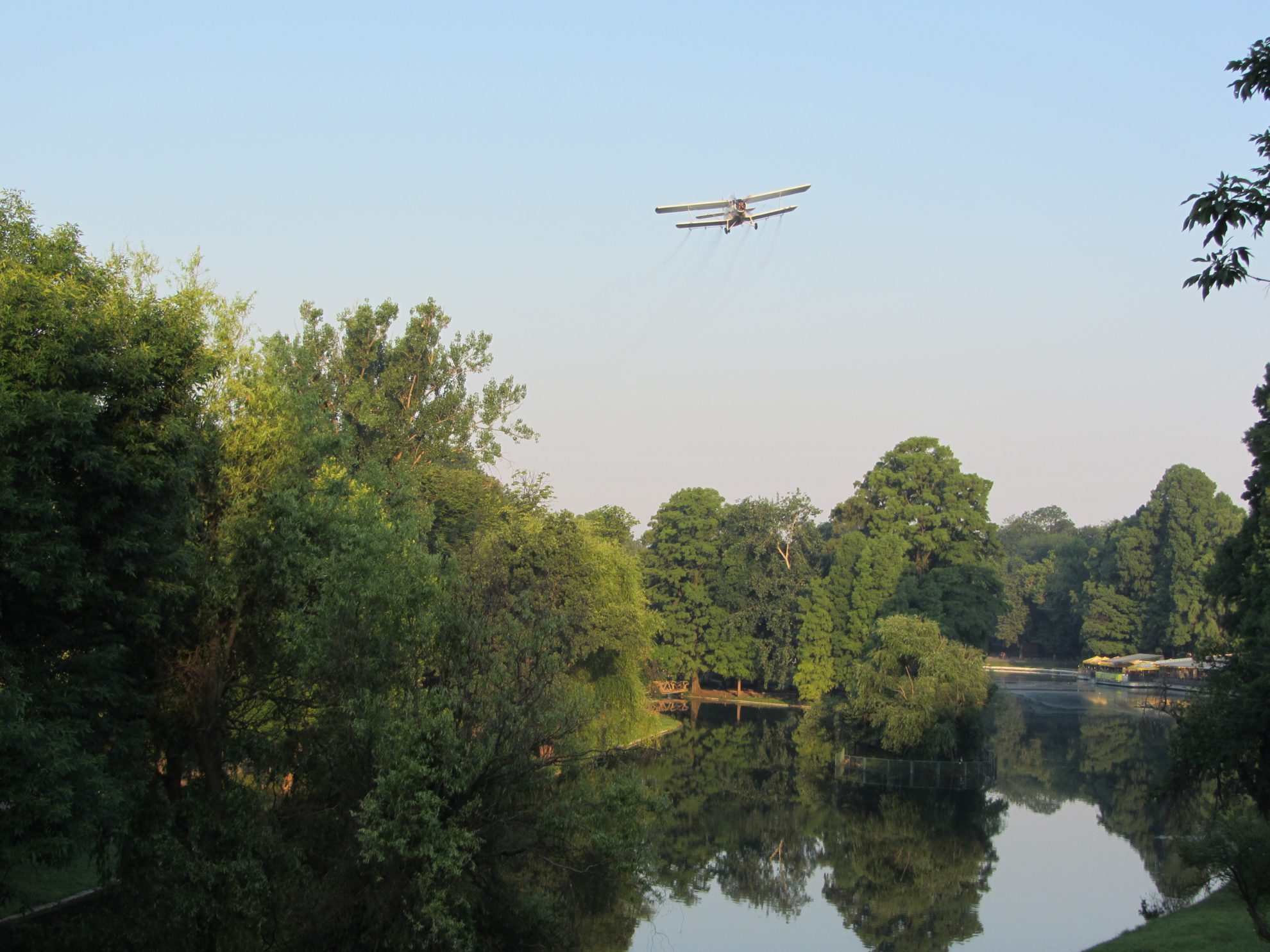 In Craiova incepe a treia etapă de dezinsecție pe domeniul public