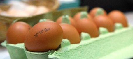 Știți să interpretați codurile de pe ouă?
