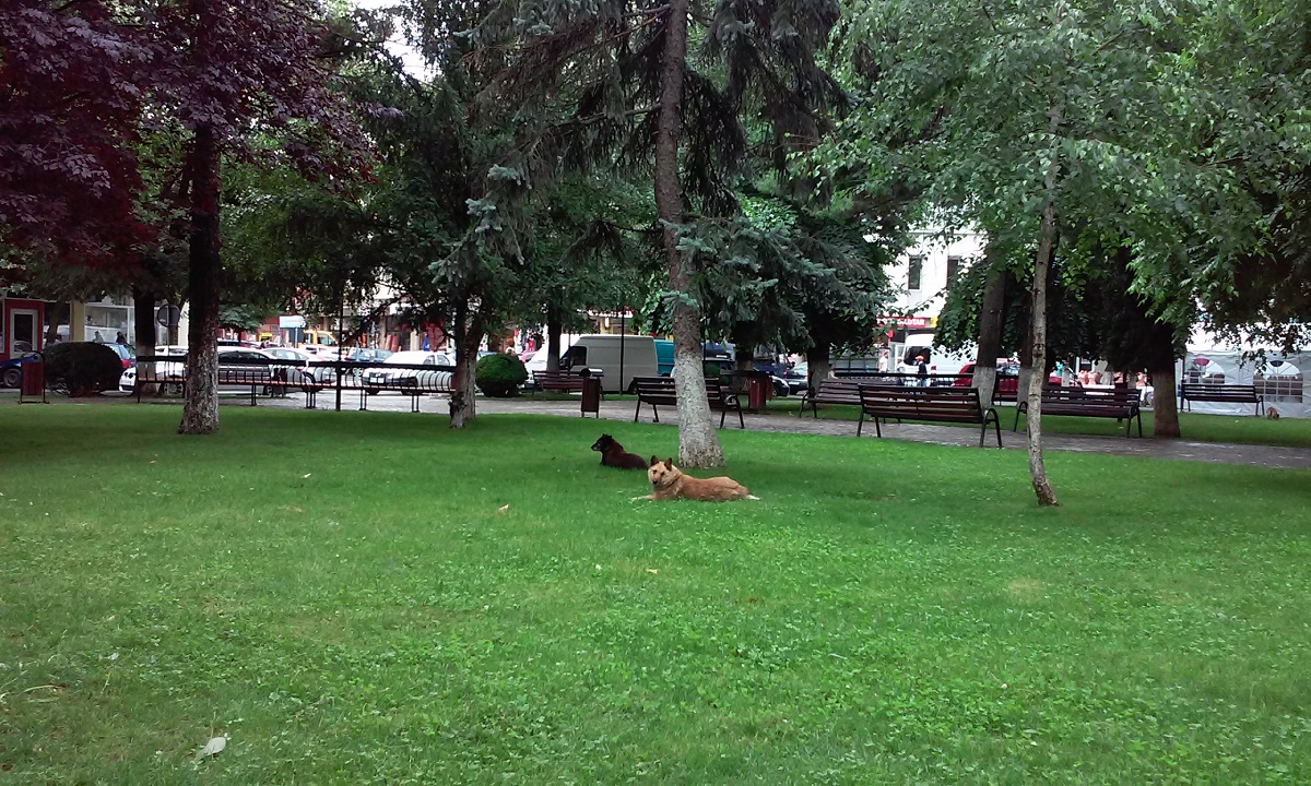 Azi despre ieri – 8 august 2017