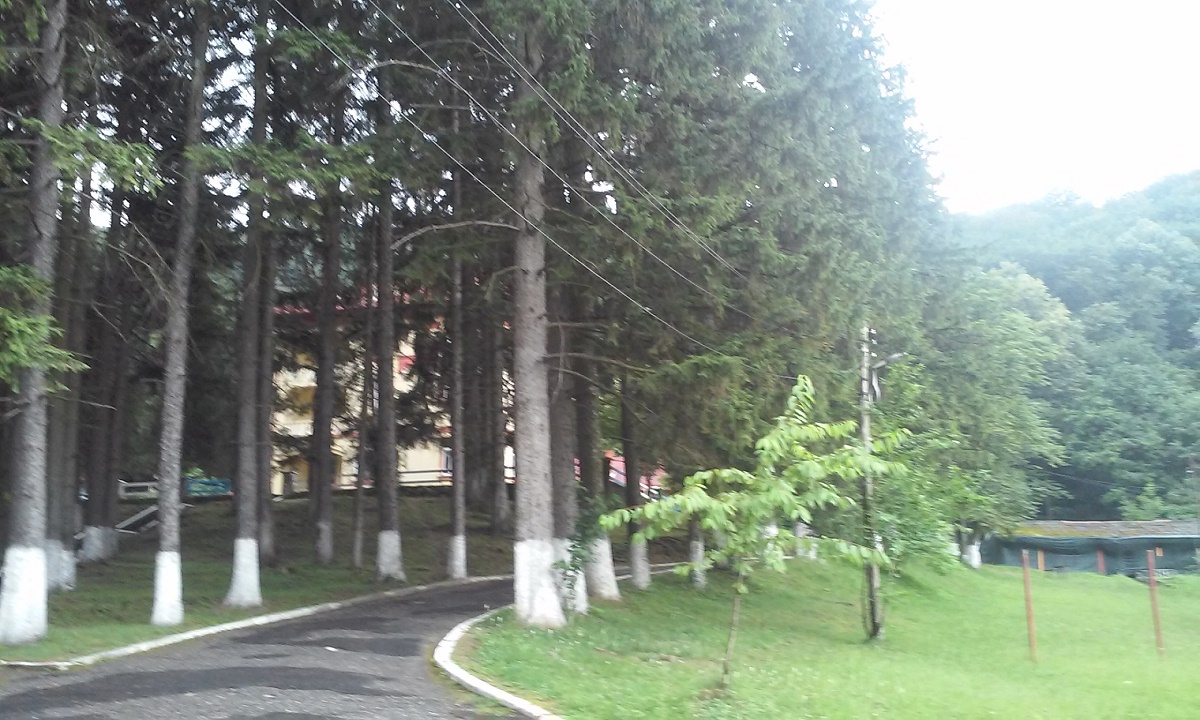 Vremea, astăzi, în Oltenia (audio)