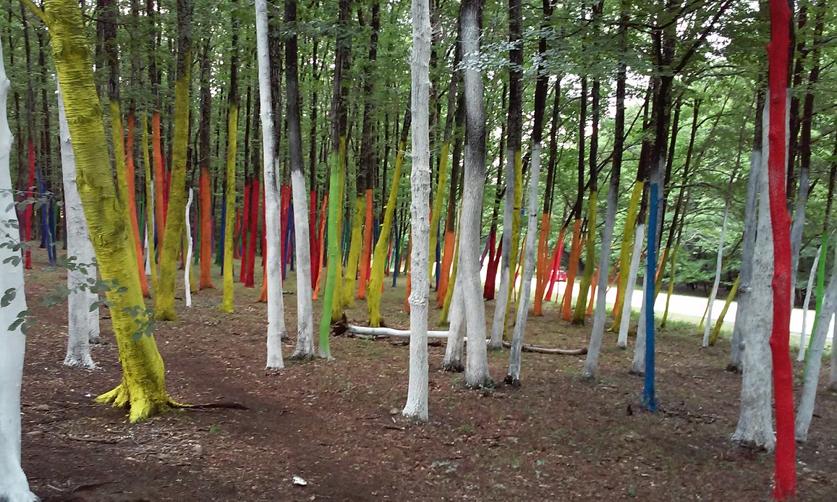 Vremea, la noapte și mâine, în Oltenia (audio)