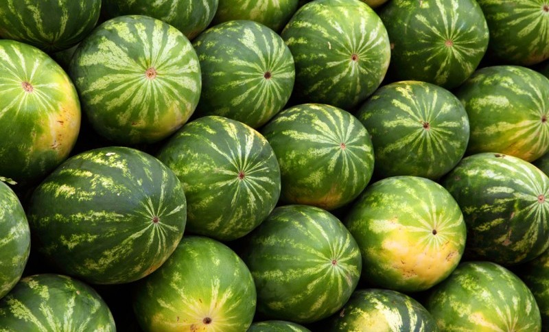 Ministrul Agriculturii vrea etichete pentru pepeni