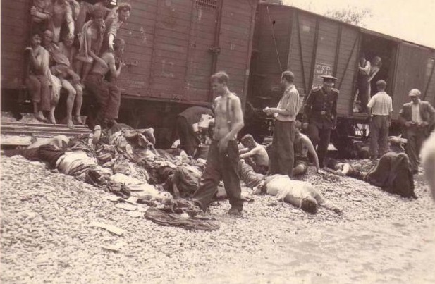 Compensații pentru supraviețuitori (audio)