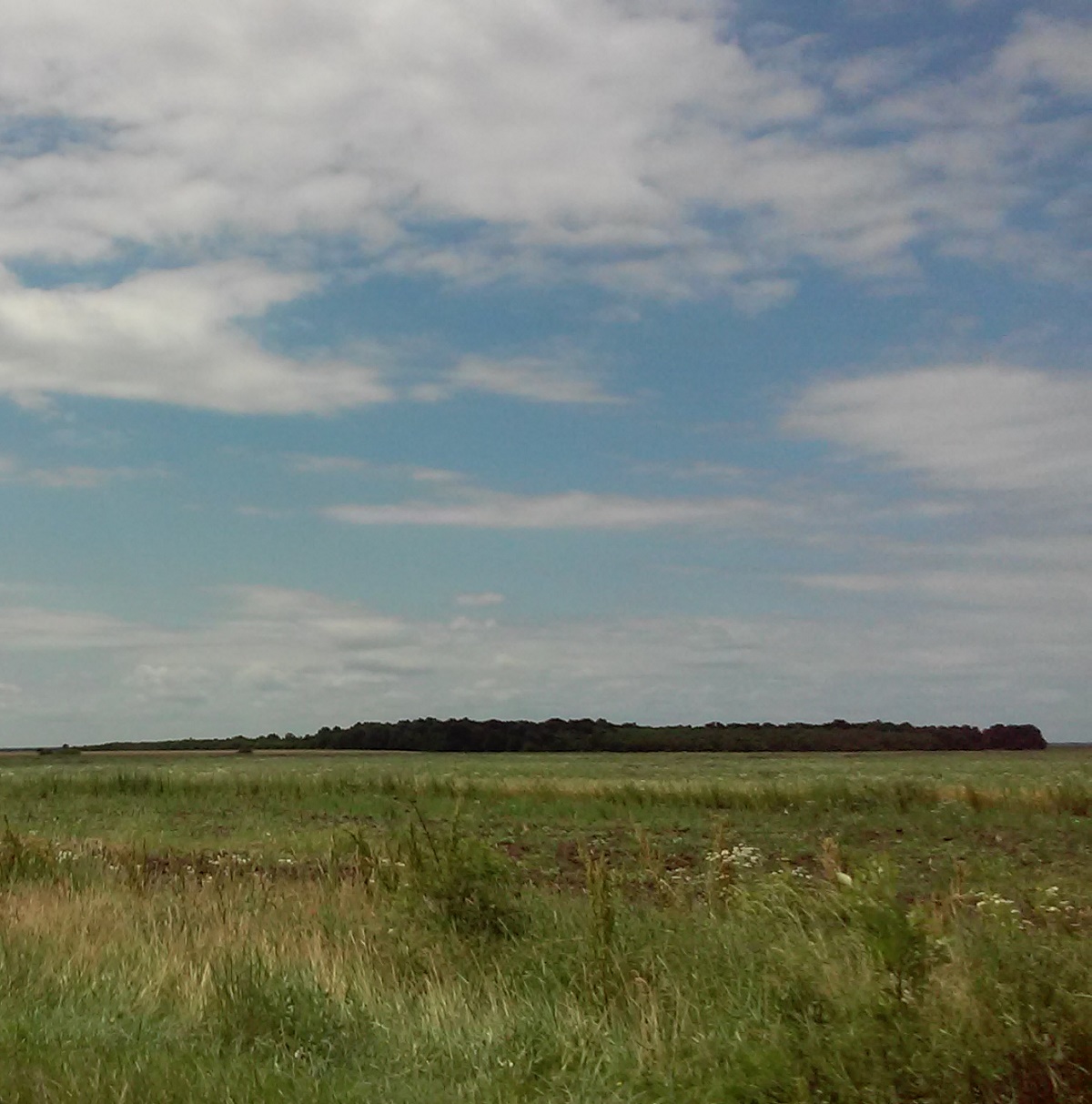 Azi despre ieri – 24 august 2017