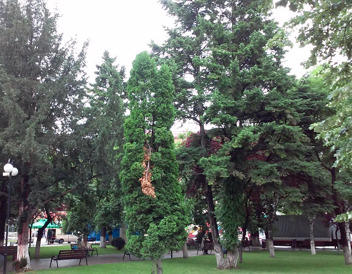 Azi despre ieri – 23 septembrie 2017