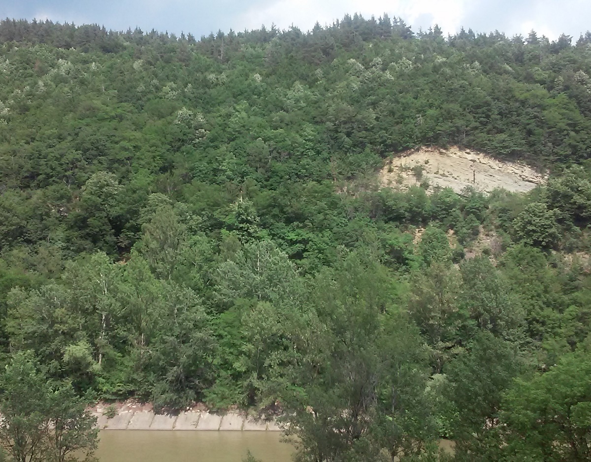 Azi despre ieri – 7 septembrie 2017