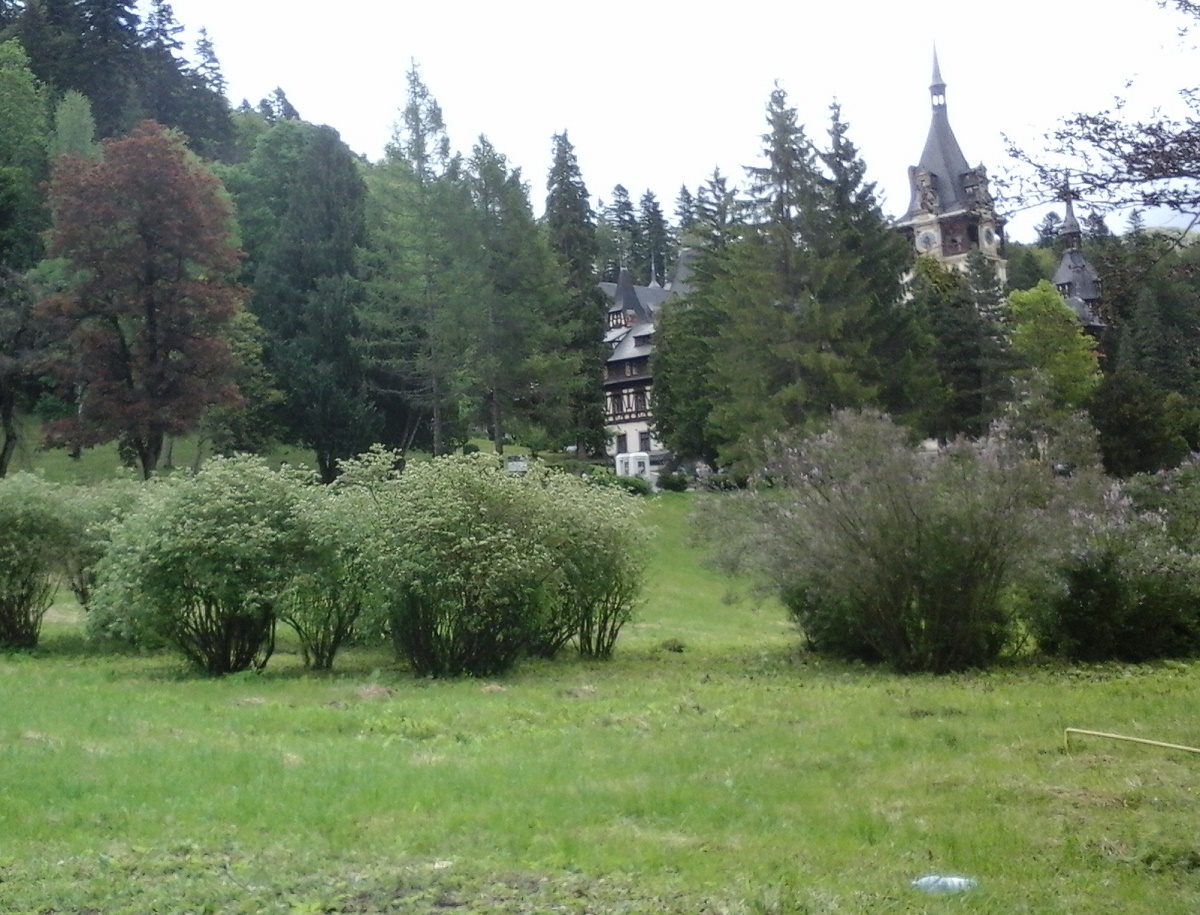 Azi despre ieri – 26 august 2017