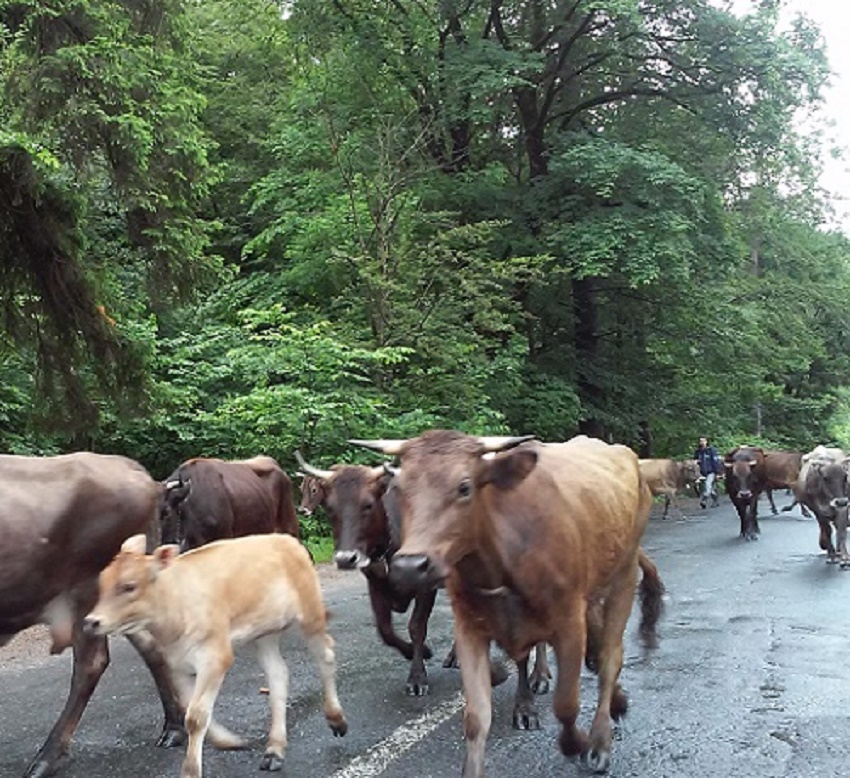 Azi despre ieri – 27 septembrie 2017