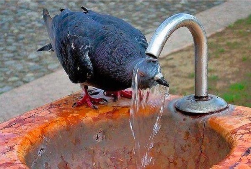 Vreme caniculară, nopți tropicale (audio)