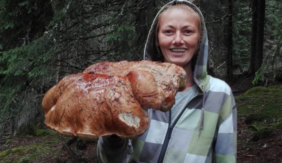 Ciupercă uriaşă, de 5 kilograme, pe Transalpina