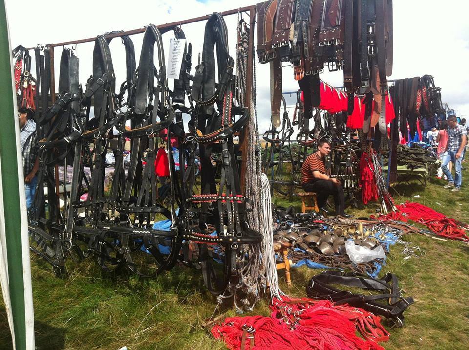 Ziua comunei Stoileşti