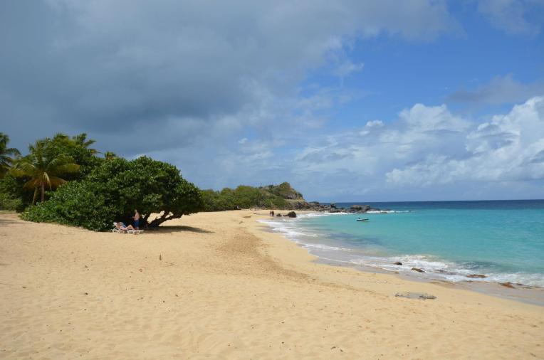 Ulei de palmier pe plaje din Hong Kong