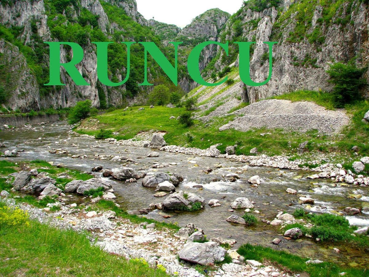 Atelierele ,,Noul Bauhaus European” – Runcu (audio)