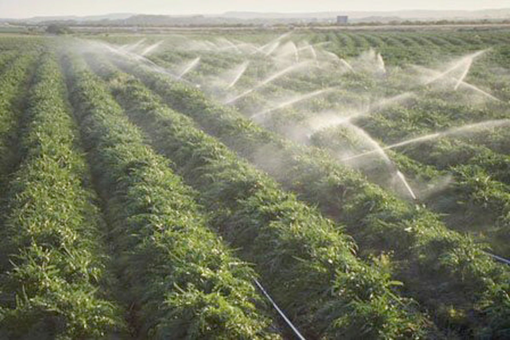 Suprafața irigată crește