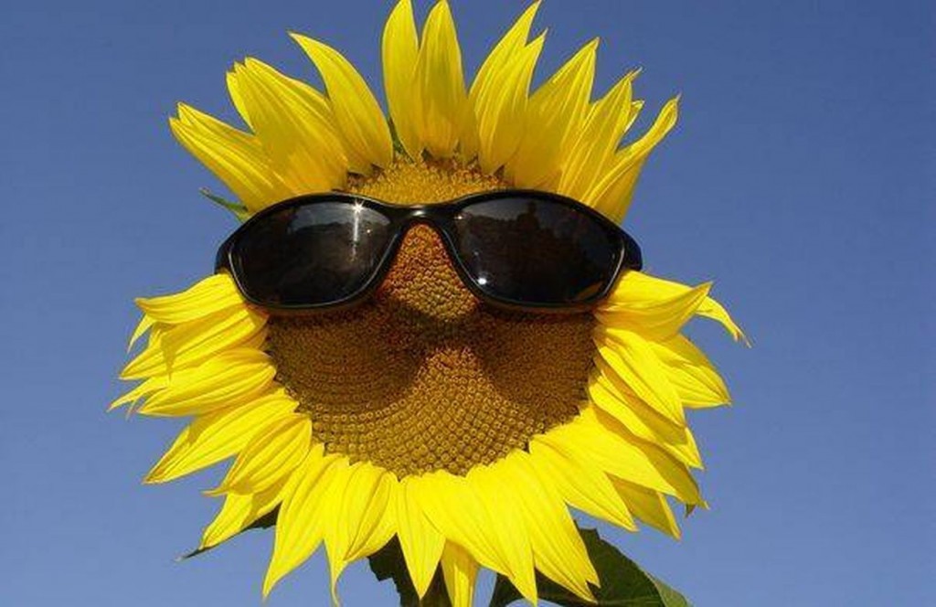 Prognoza meteo pentru 14 august