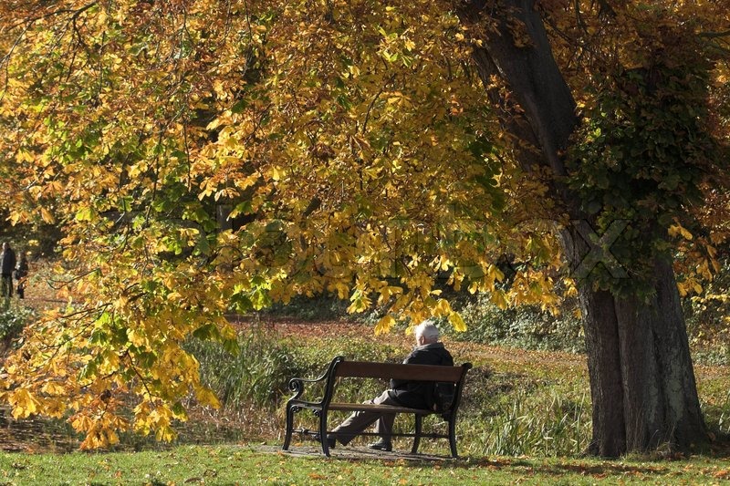 Temperaturile cresc, dar de miercuri vremea se răceşte din nou. Cum va fi vremea in sud