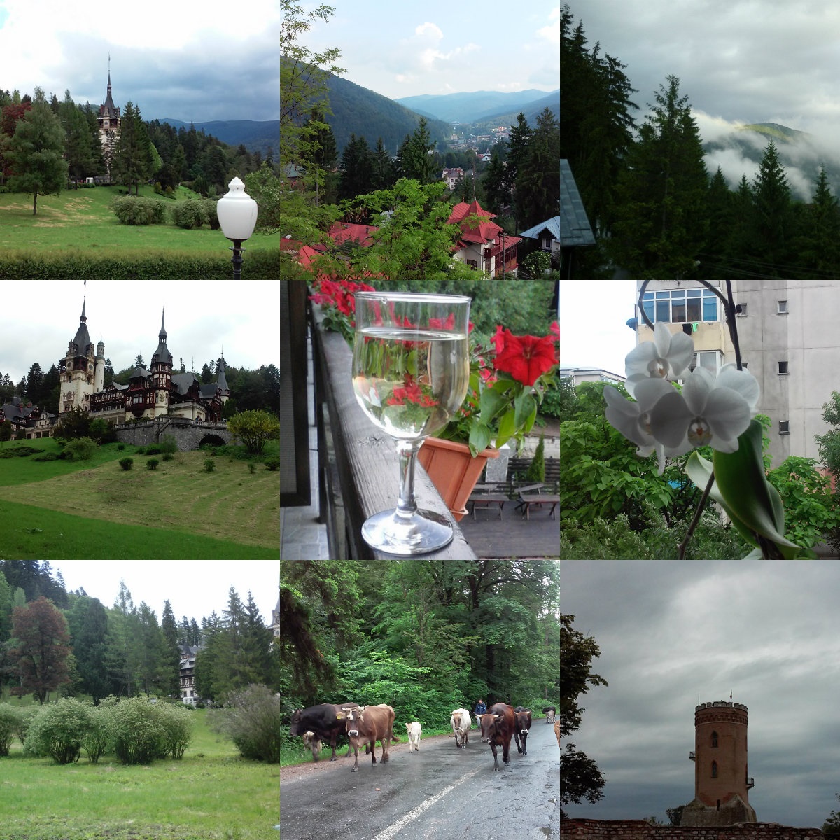 Azi despre ieri – 14 octombrie 2017