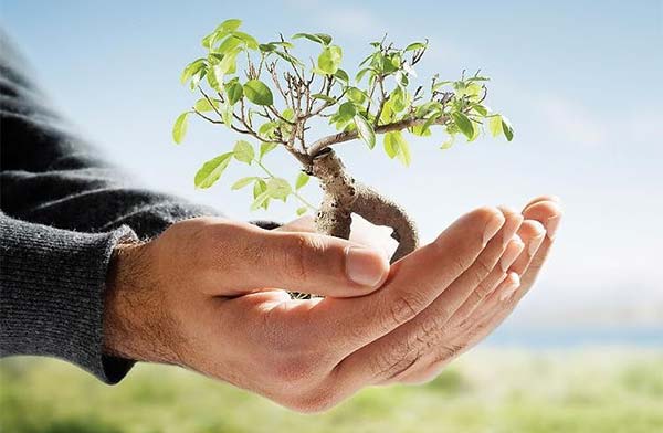 Grup de lucru constituit pentru găsirea de soluţii de reducere a poluării