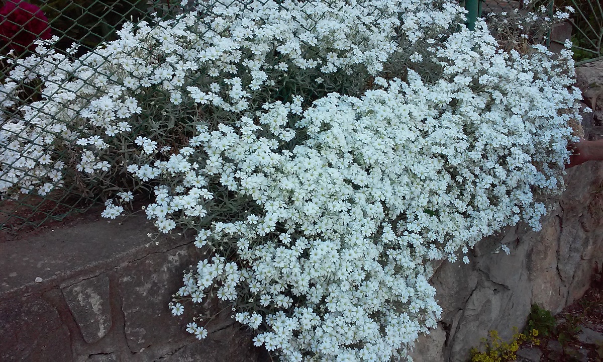 Azi despre ieri – 13 octombrie 2017