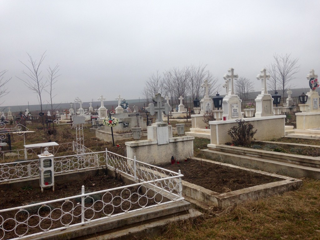 INCREDIBIL! Întors în ţară după 16 ani, un ieşean s-a trezit cu 86 de cavouri pe terenul său!