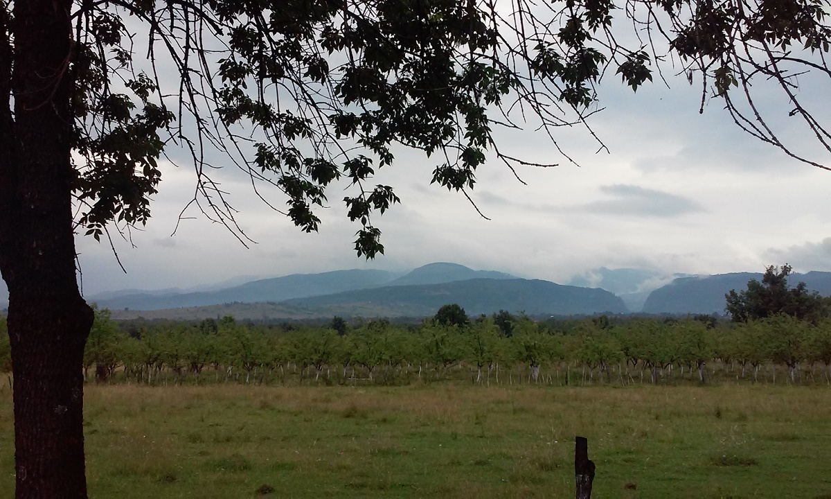 Azi despre ieri – 11 octombrie 2017