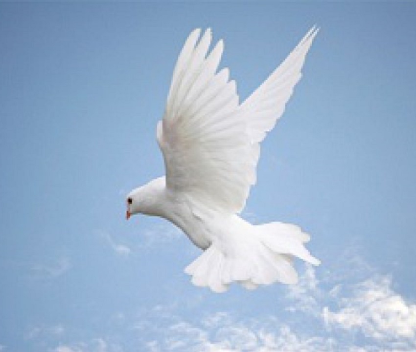 Ziua Internațională a Păcii