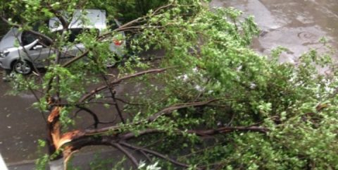 Opt morți și 137 de răniţi în urma furtunii de ieri